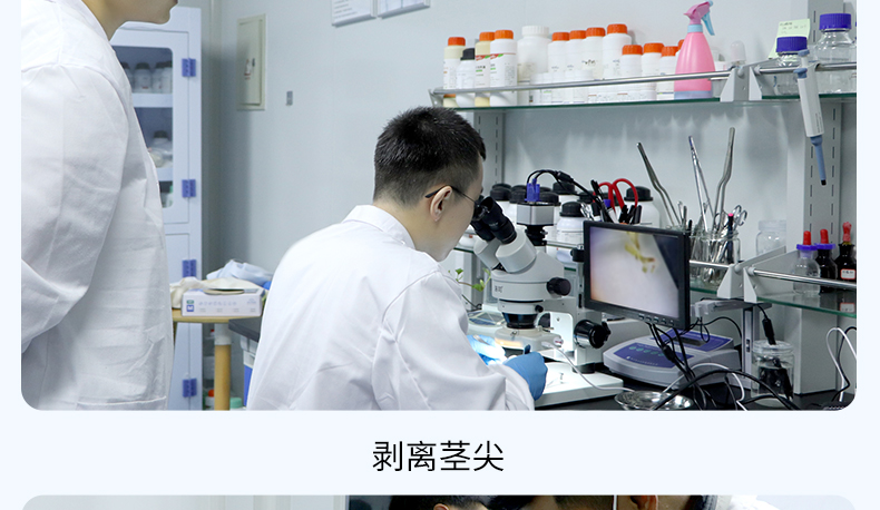 培訓詳情2_12
